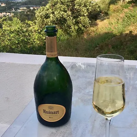 Bastide De La Joie De Vivre * Hyères